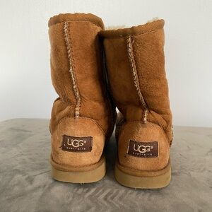 Chestnut Ugg Boots